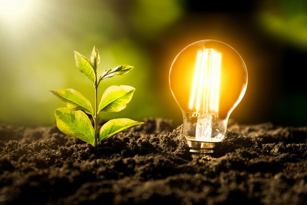 Glowing LED light bulb. Ecological friendly and sustainable environment